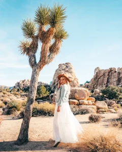 Embark on an Adventure: Ranking the Most Enchanting Hikes in Joshua Tree