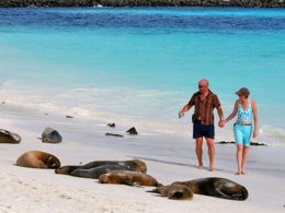  Discover the Wonders of the Galapagos Islands