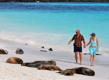  Discover the Wonders of the Galapagos Islands