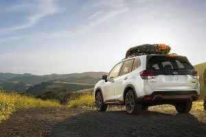 2024 Subaru Forester Exterior