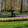 Blooms and Bonds Unveiling Family Joys at Keukenhof Gardens