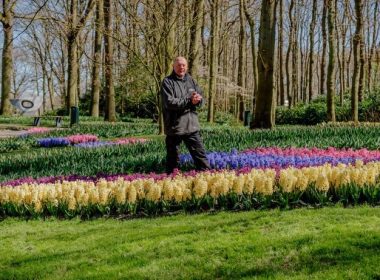 Blooms and Bonds Unveiling Family Joys at Keukenhof Gardens