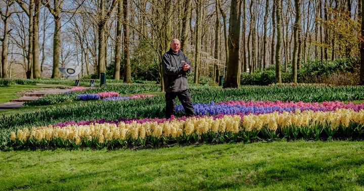 Blooms and Bonds Unveiling Family Joys at Keukenhof Gardens