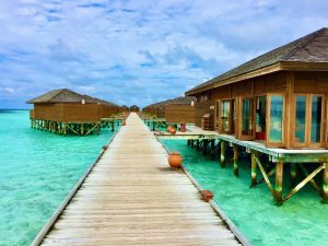 Families Unite in Paradise Secrets of Perfect Bonding in Bermuda