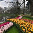 Floral Bliss Crafting Timeless Memories in Keukenhof's Gardens