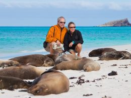Galapagos Temptations That Beckon You to Pack Your Bags