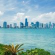 Navigating Miami’s Evolving Property Market: A Guide for Brokers, Investors, and Homeowners