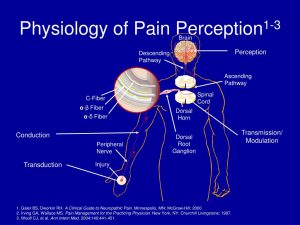 Nighttime Pain