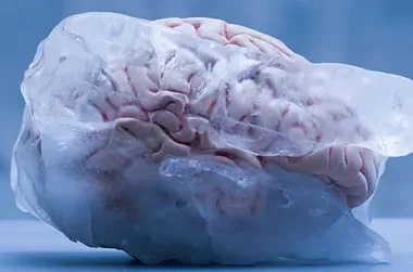 Brain Freeze