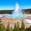 Yellowstone and Grand Teton A Family's Adventure Guide