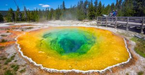  Nature's Grandeur Yellowstone and Grand Teton Adventure