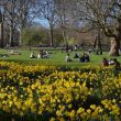 London's Best Picnic Parks