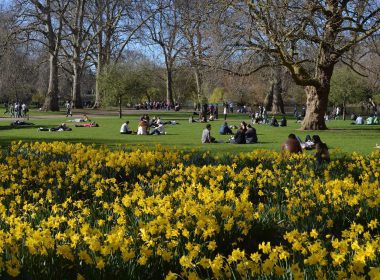 London's Best Picnic Parks