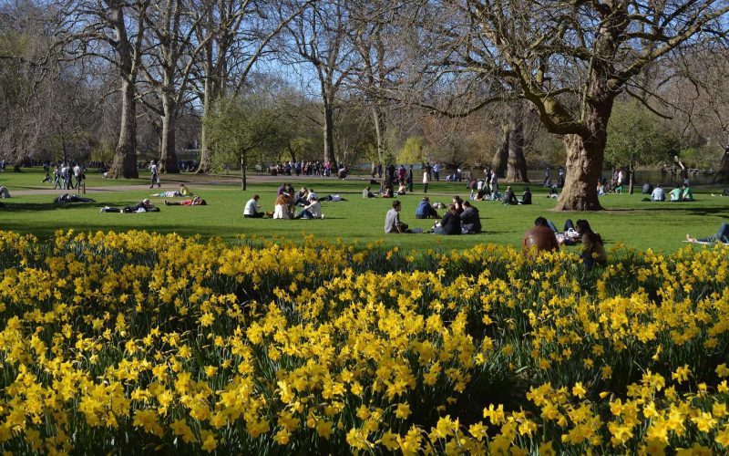 London's Best Picnic Parks