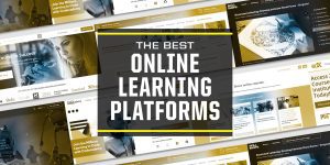 Maximizing Earnings Through Online Courses:Best Earning Platform in 2024