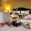 Pet-Friendly-Hotels-in-New-England