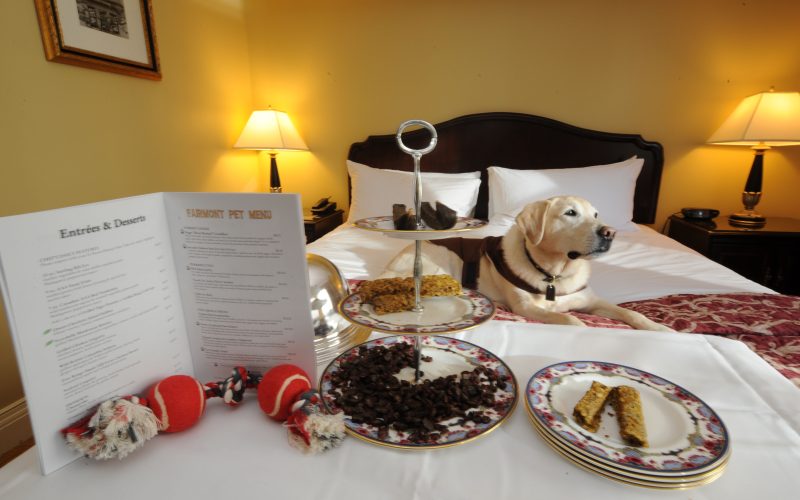 Pet-Friendly-Hotels-in-New-England