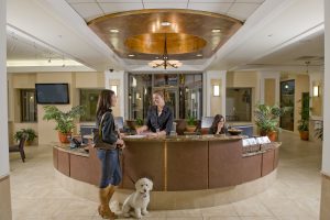 Pet-Friendly-Hotels-in-New-England