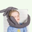 Small Travel Pillow