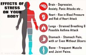 Art of Strolling Mindful Movement for Mental Clarity