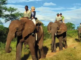 Brazil's Zoo Safari