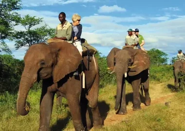 Brazil's Zoo Safari