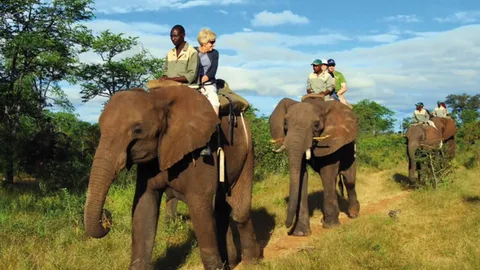 Brazil's Zoo Safari