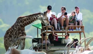 Brazil's Zoo Safari