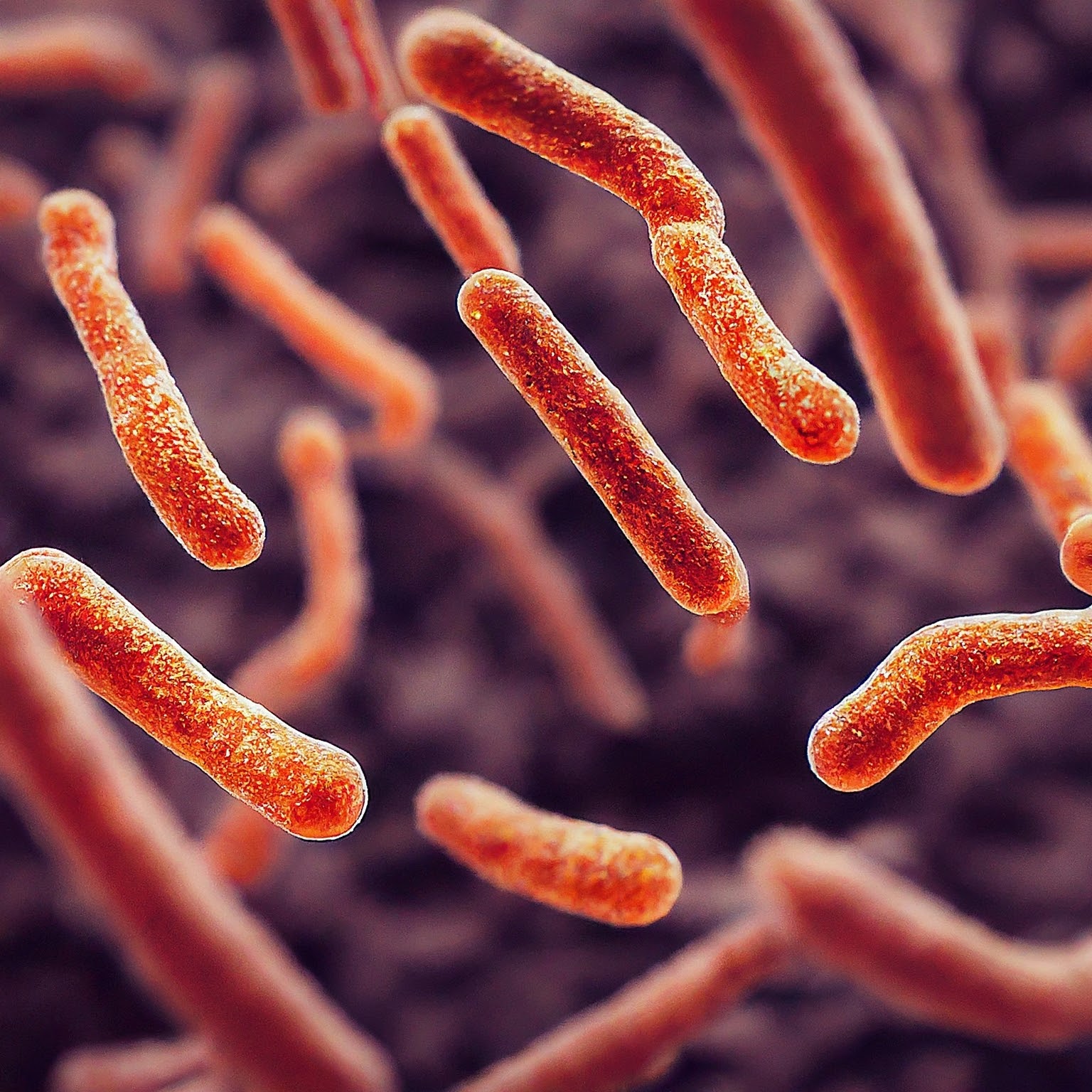 Gut Chat: How Bacteria Talk to Your Brain