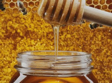 Honey: The Never-Spoiling Gift of the Bees