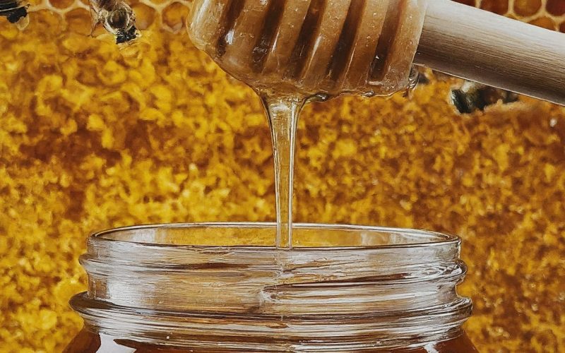 Honey: The Never-Spoiling Gift of the Bees