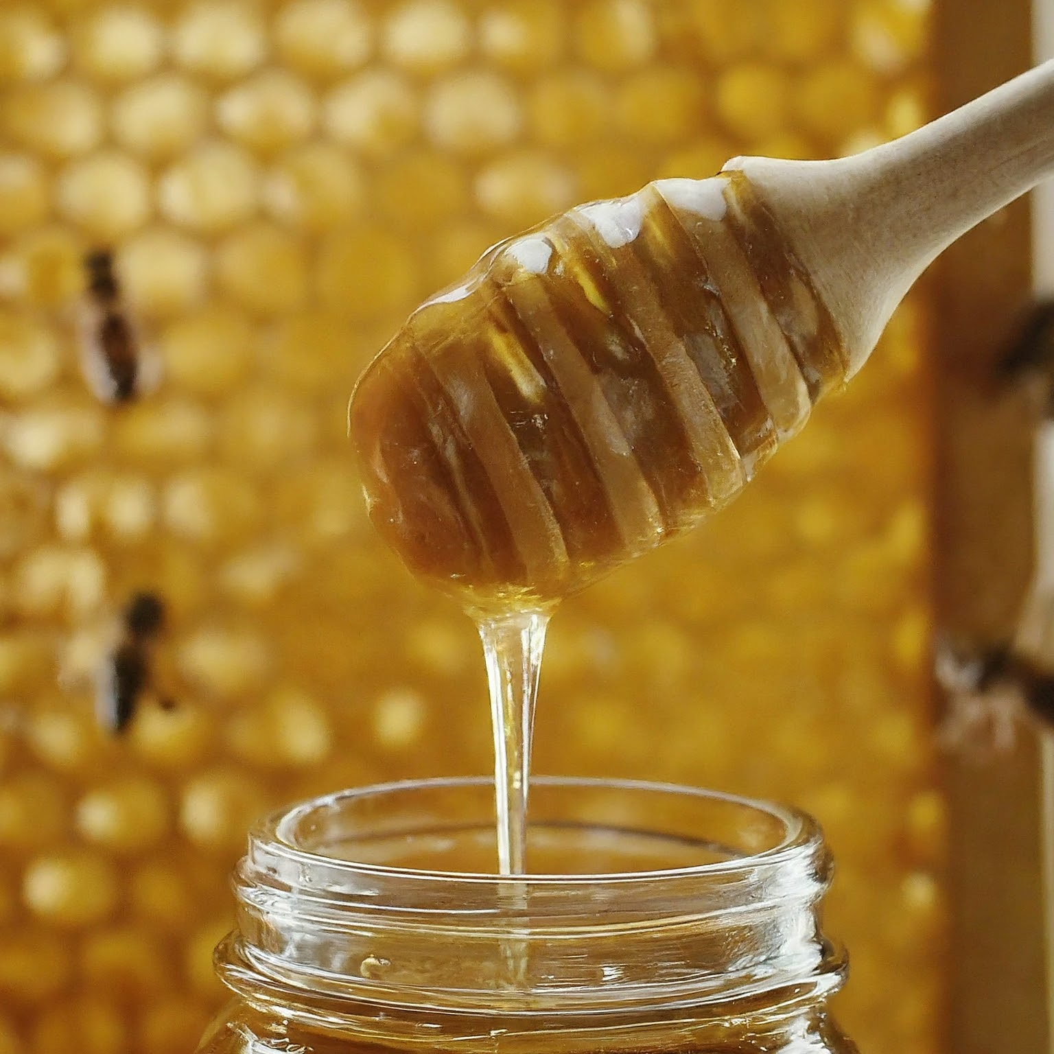 Honey: The Never-Spoiling Gift of the Bees