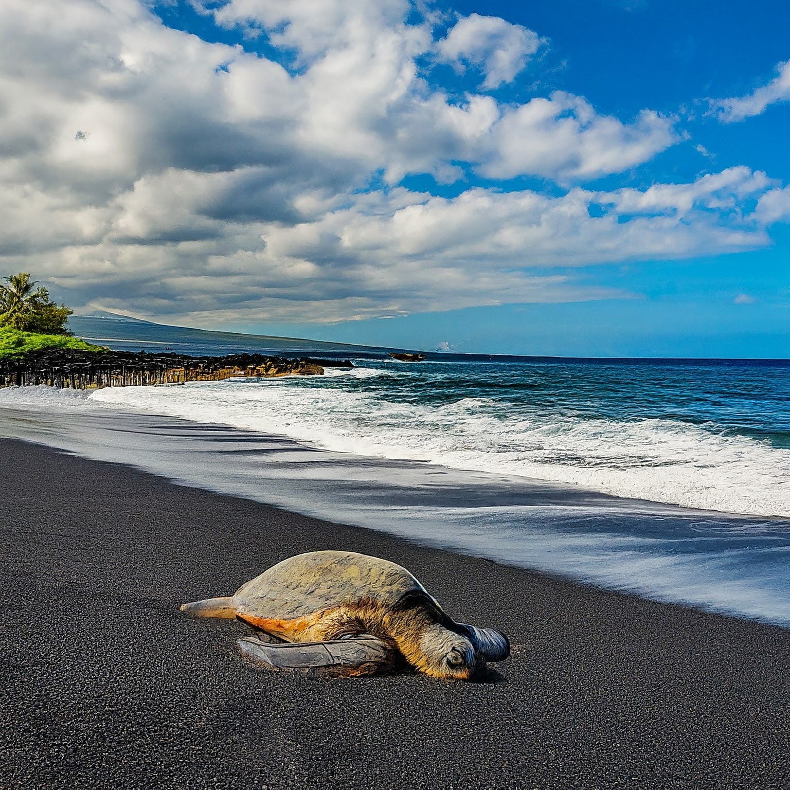 Hawaiian Volcano Rumblings: Eruption Threat or Natural Tremor?