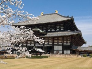 Myoshinji Temple Kyoto Serenity Found