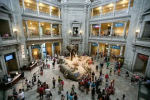 Paris museum tours