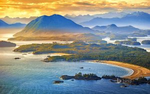 Unveiling Vancouver Island's Wine Scene