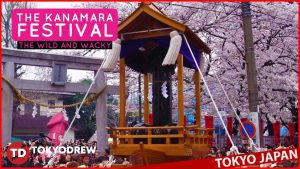 Why is Kanamara Matsuri (Festival of the Steel Phallus) celebrated?