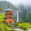 r Myoshinji Temple in Kyoto