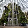 restaurant at botanic garden singapore