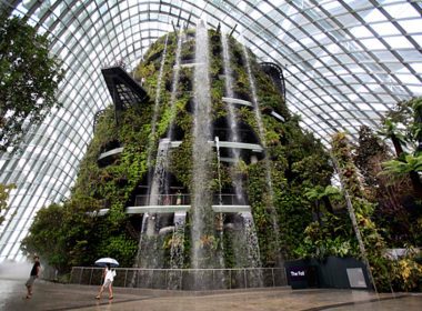 restaurant at botanic garden singapore