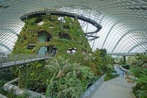 restaurant at botanic garden Singapore