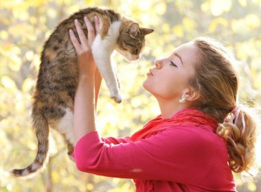 The Science Behind Training Kittens: Insights and Applications