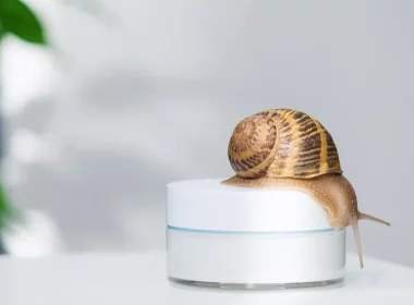 The Slime Solution: Unveiling the Science Behind Snail Mucin for Glowing Skin