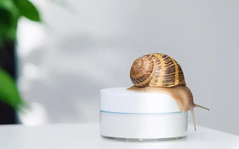 The Slime Solution: Unveiling the Science Behind Snail Mucin for Glowing Skin