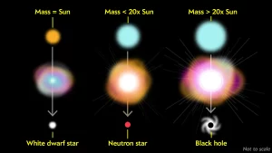 White Dwarfs and Black Holes