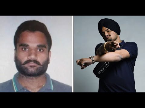 Goldy Brar Allegedly Shot Dead | Sidhu Moose Wala Murder Connection