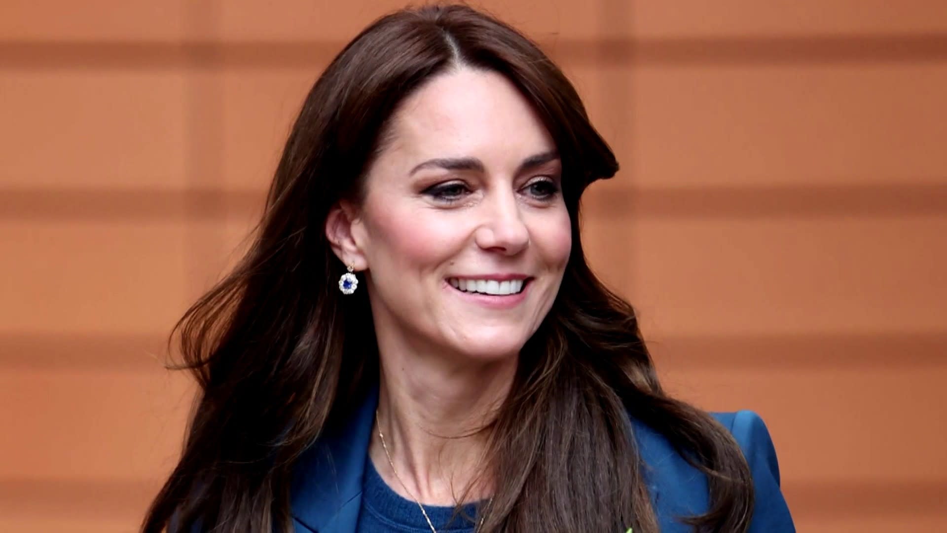 Royally Divided: Kate's Portrait Stirs Online Debate