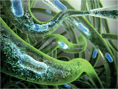 Unraveling Nature's Code: The Biophysics of Genetics