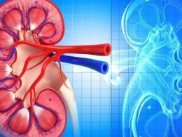 Exploring Lupus Nephritis Insights from Recent Research