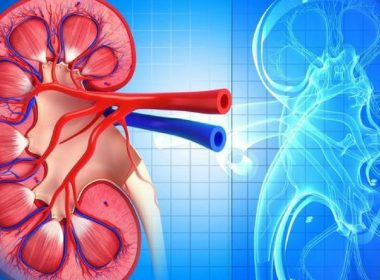 Exploring Lupus Nephritis Insights from Recent Research